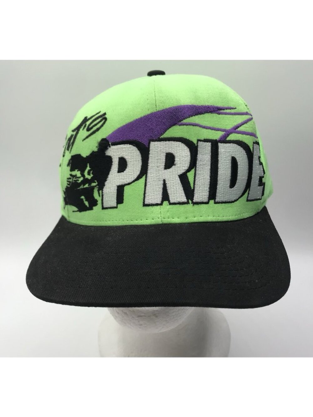 Vintage Arctic Cat Pride Riders Club 1998 Green Baseball Snapback Style Hat Cap